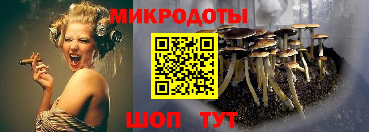 Ачинск  Псилоцибиновые грибы Cubensis  Галлюциногенные грибы Psilocybe  где продают наркотики  Вход с VPN 